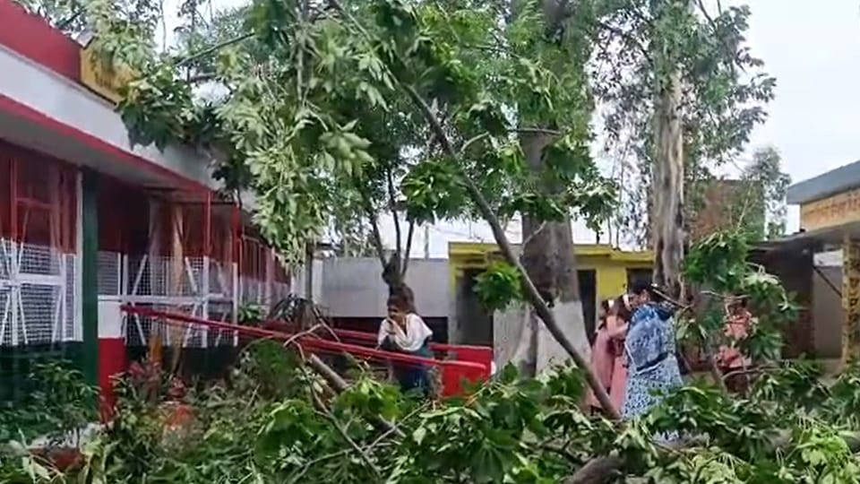 Bijnor: Tree Falls on Government School Building in Storm, Roof Lintel Develops Crack
