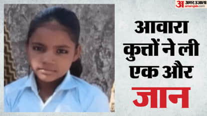Stray Dog Menace in Bundi Pack Attacks 12-Year-Old Girl Mauls Her to Death news in hindi