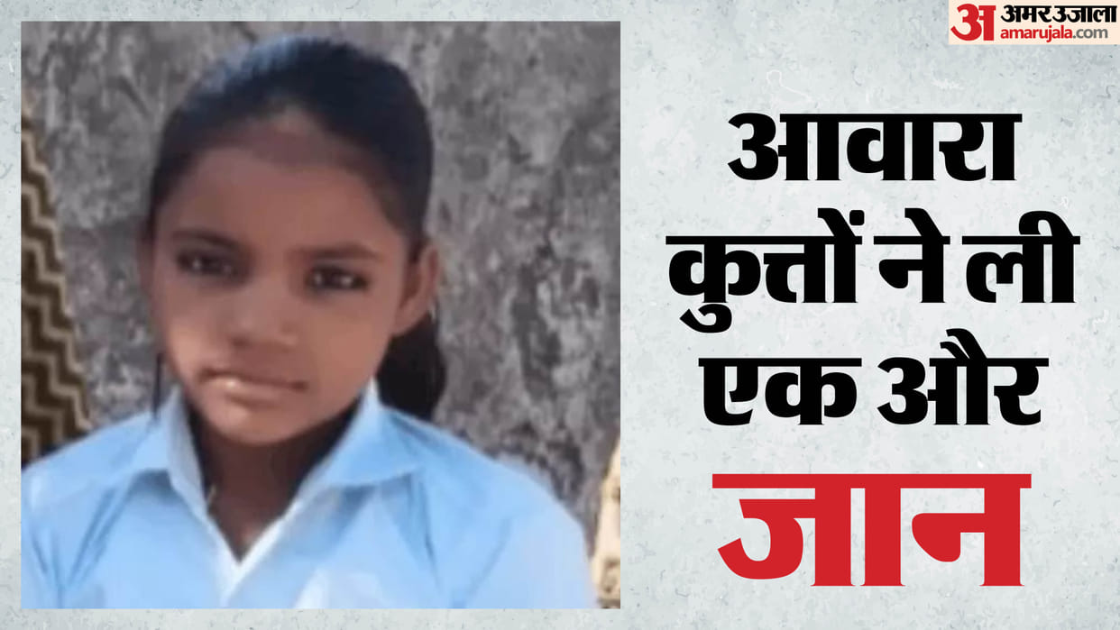 Stray Dog Menace in Bundi Pack Attacks 12-Year-Old Girl Mauls Her to Death news in hindi