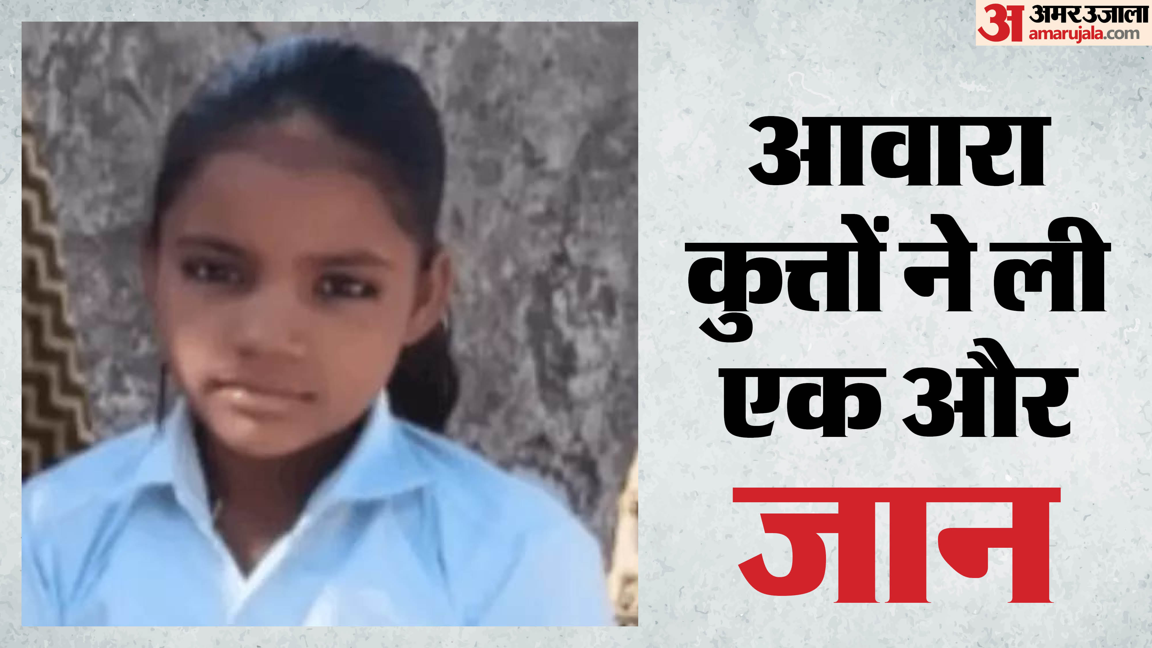 बूंदी में आवार कुत्तों का कहर