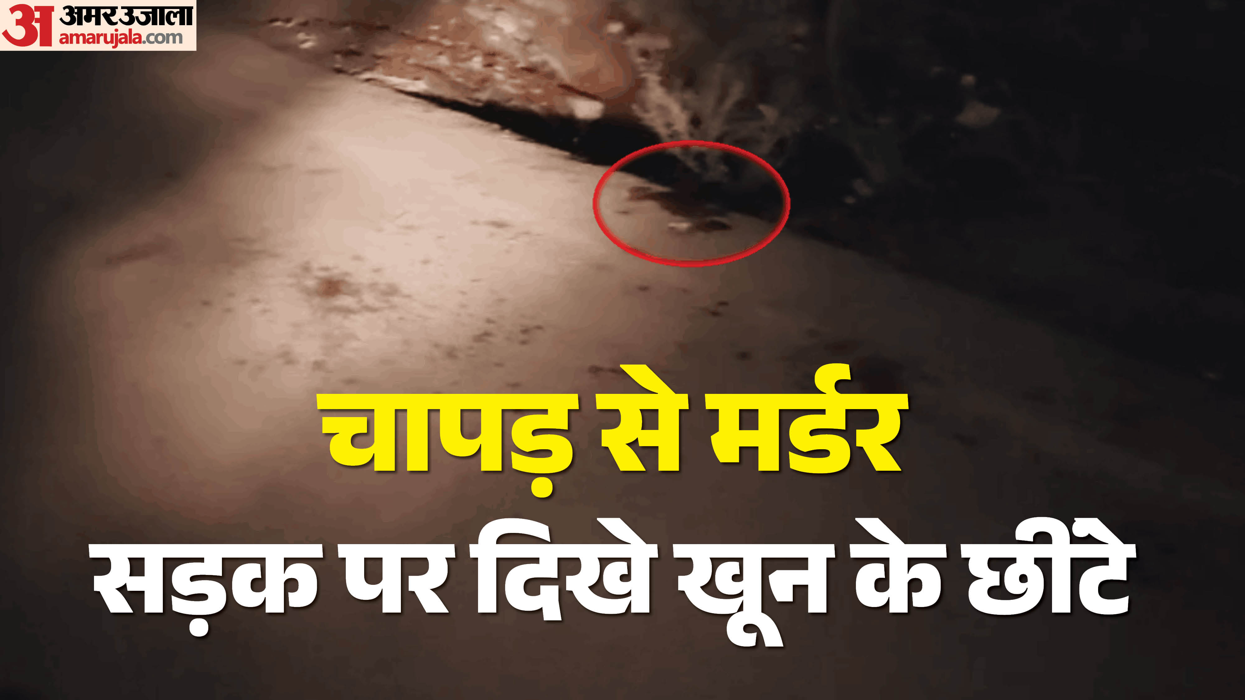 छत्तीसगढ़ के बिलासपुर में खूनी खेल