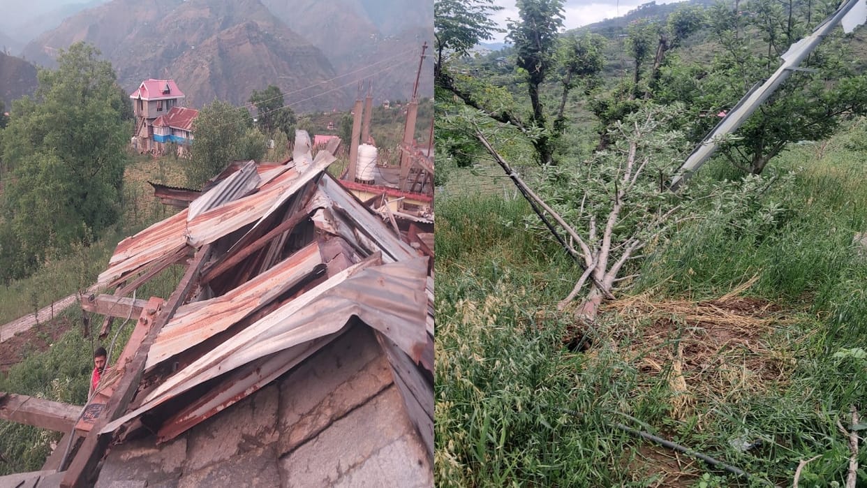 Himachal Weather:  Snowfall in the mountains, rain in the lower regions; tree falls on house during storm, roo