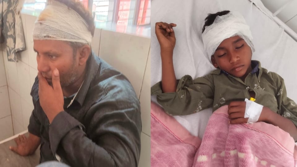 Baghpat: Farmer dies due to lightning, 65 pillars broken due to rain and storm, lights in 150 villages go off