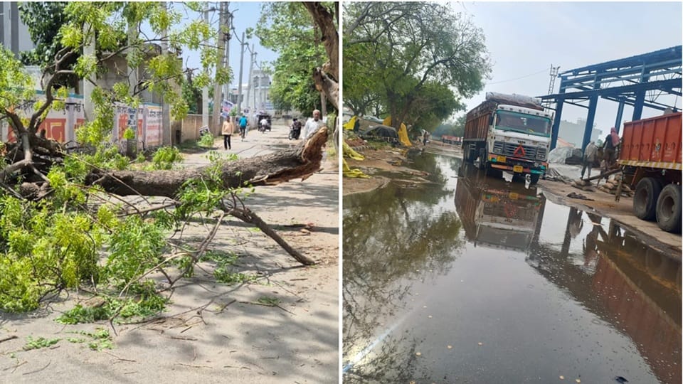 Heavy storm and rain cause damage in Haryana