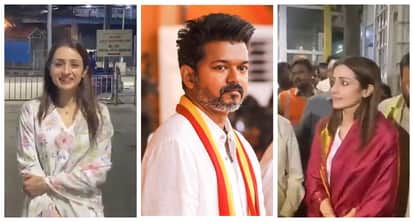 Trisha Krishnan offer prayers at tirumala temple fans link to Vijay thalapathy tamilnadu election result 2026