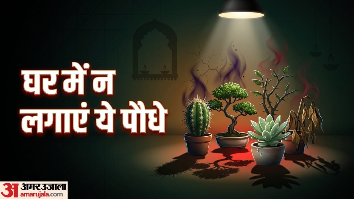Vastu Tips  Five unlucky plants for home bad luck plants inside the house