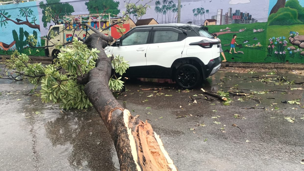 Lucknow: Storm and rain derailed the power system, leaving 2 million people without water and electricity; doz