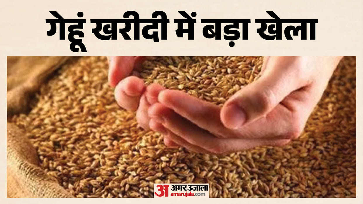 wheat procurement scam poor quality wheat purchase farmers issues pds quality concern