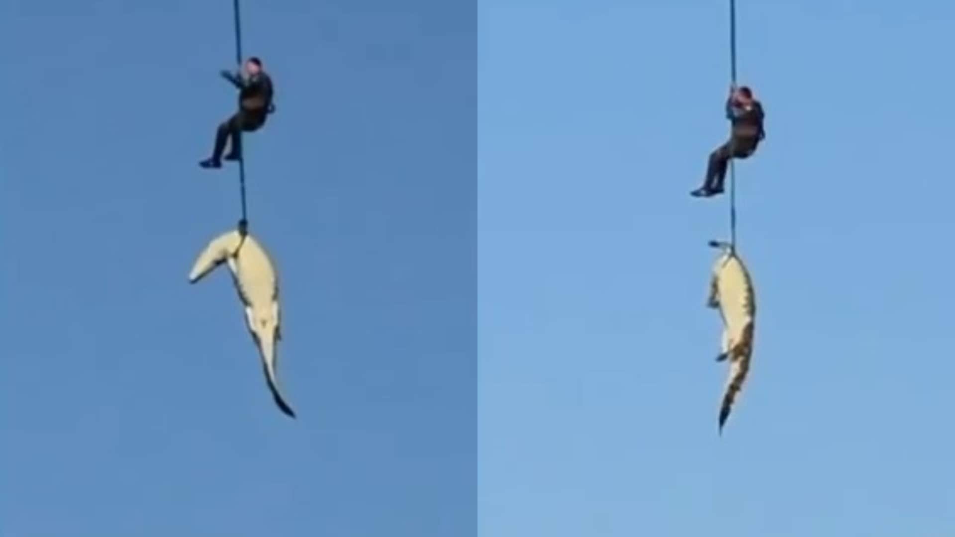 South africa Police airlift a crocodile with the body of a 59 yo businessman gabriel batista inside