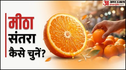 मीठा संतरे की क्या पहचान होती है