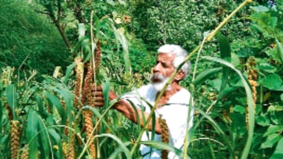 बारहनाजा की खेती