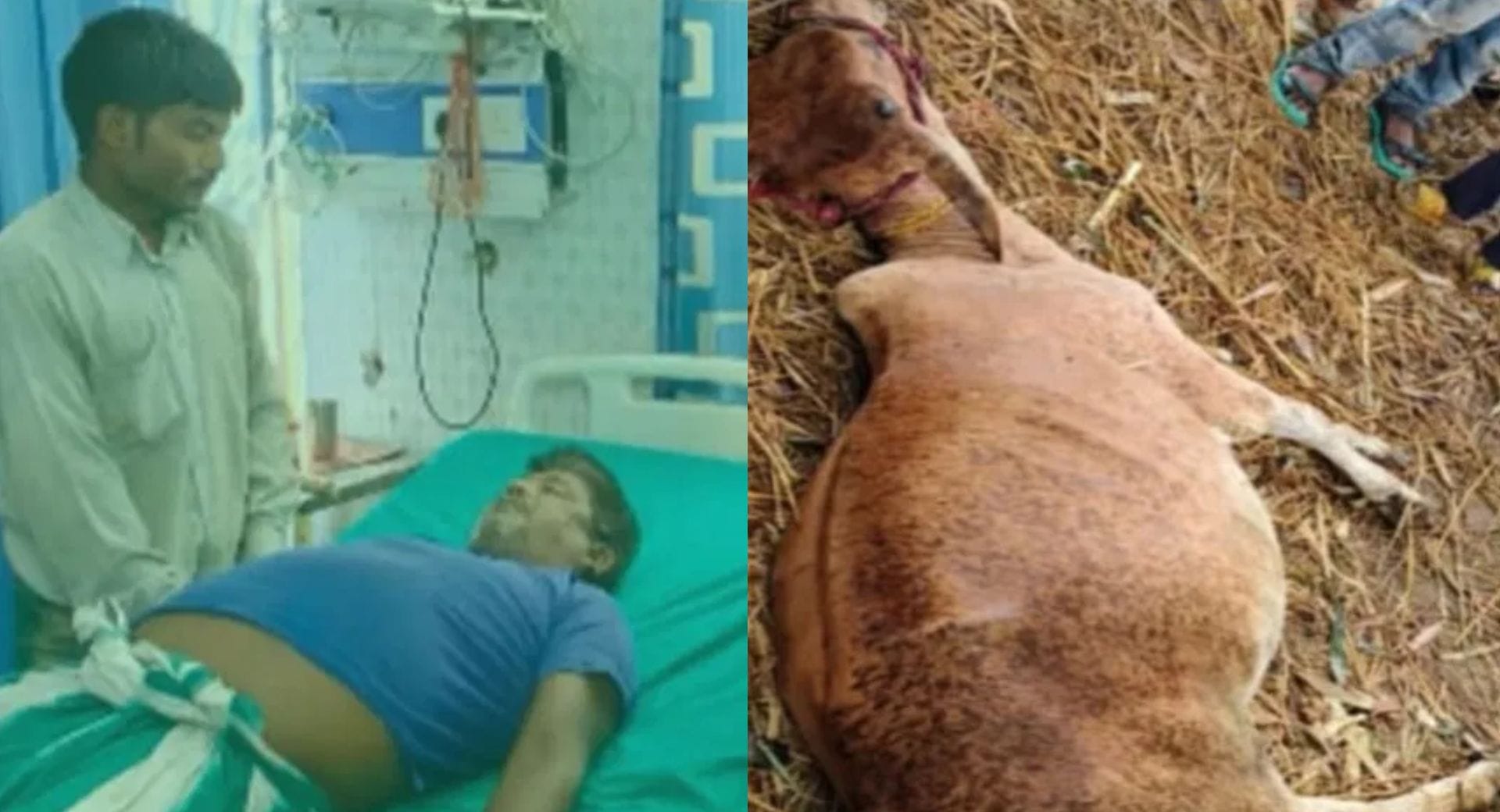 बिजली गिरने से हुई मौत