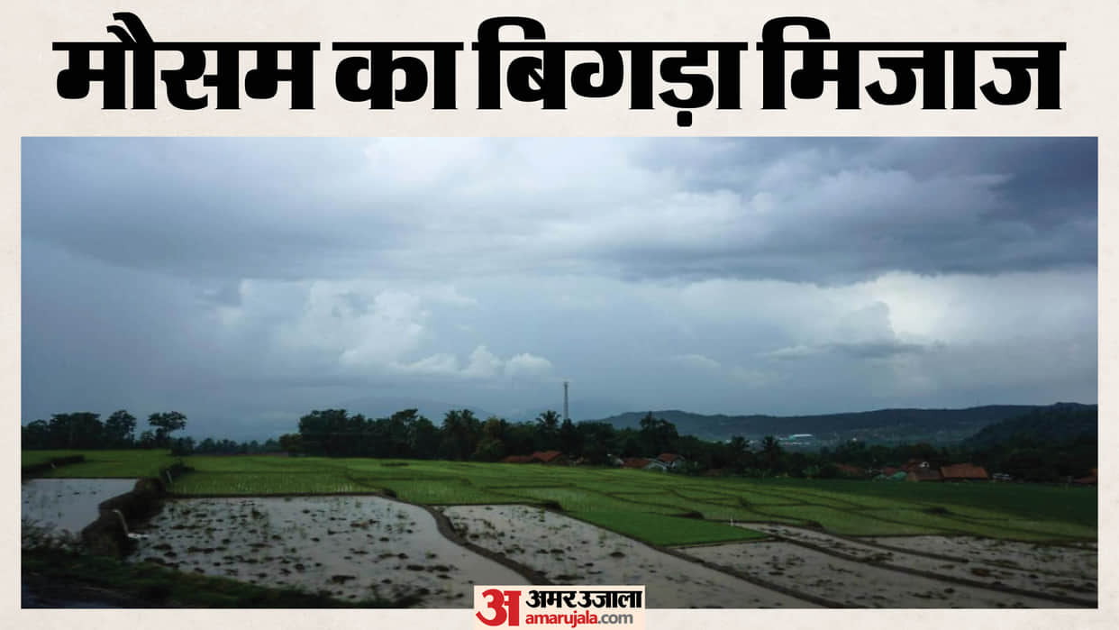 MP Weather Today: Impact of a 'Double System' in Madhya Pradesh; Storms and Rain Across Half the State, Alert