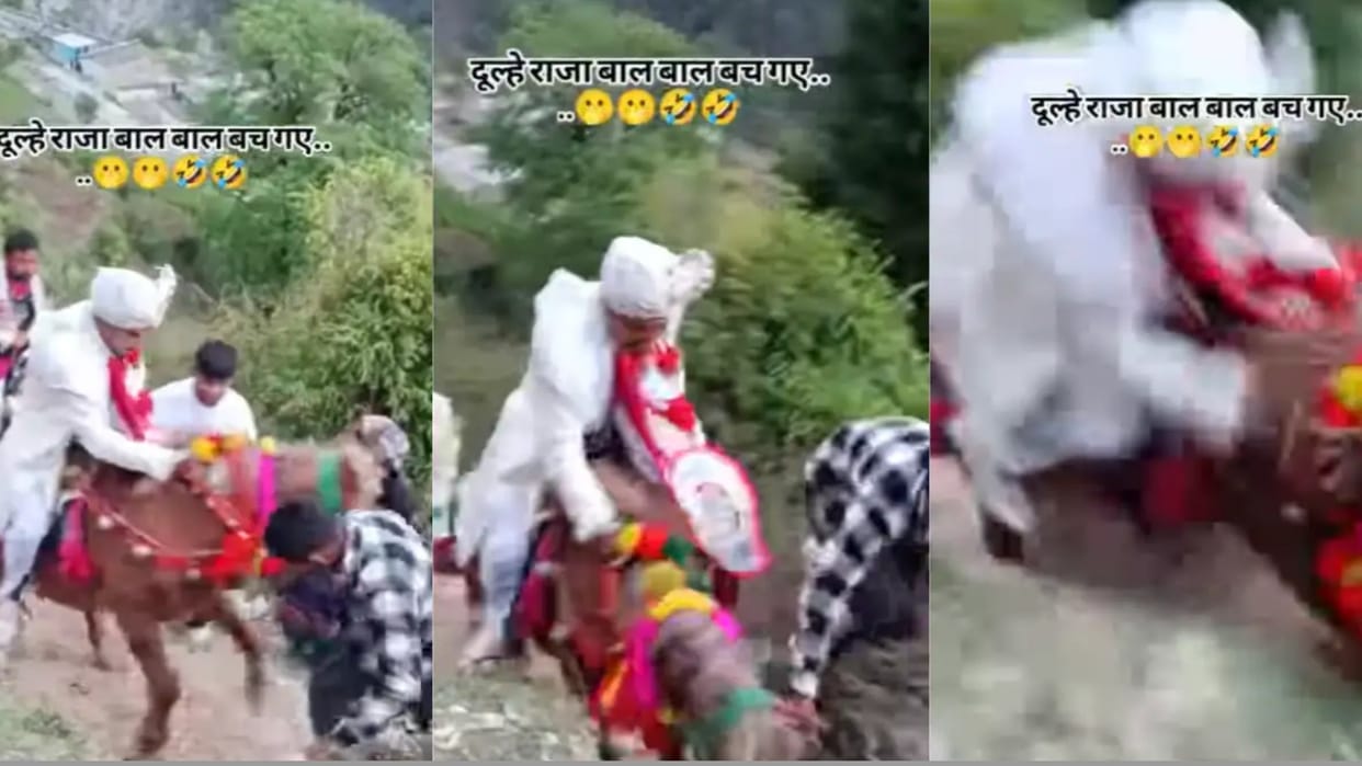 Groom was going on a donkey then what happened funny video viral