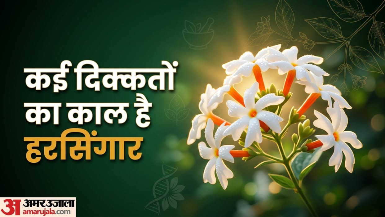 harsingar benefits in health care according to Ayurveda disprj