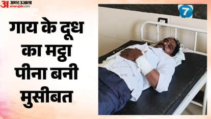 MP News: Milk Extracted After Dog Bite Sparks Panic, Over 90 People Given Preventive Rabies Injections