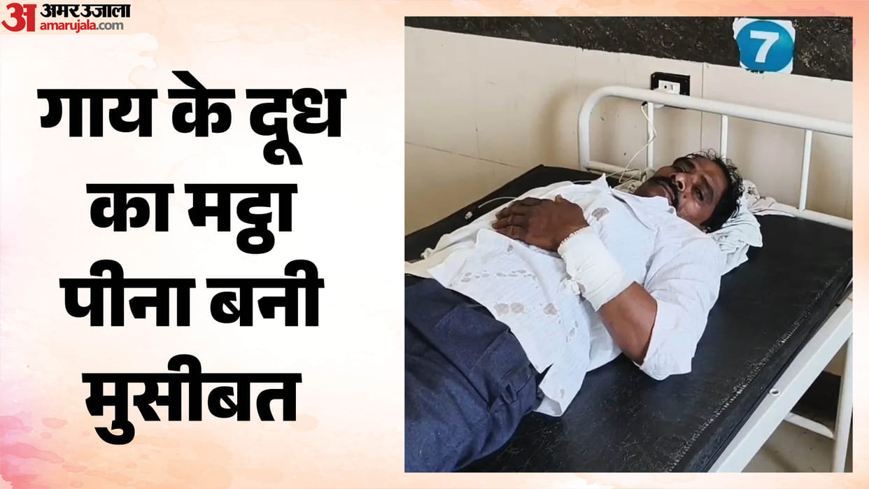 MP News: Milk Extracted After Dog Bite Sparks Panic, Over 90 People Given Preventive Rabies Injections