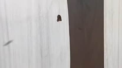 Firing in Jagraon Over Land Dispute Village Khurshedpura Case Registered