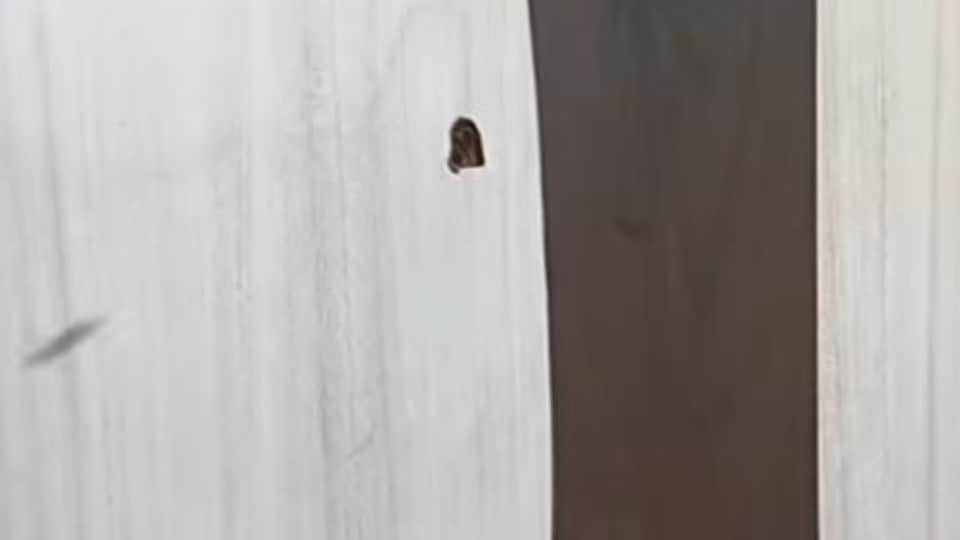 Firing in Jagraon Over Land Dispute Village Khurshedpura Case Registered