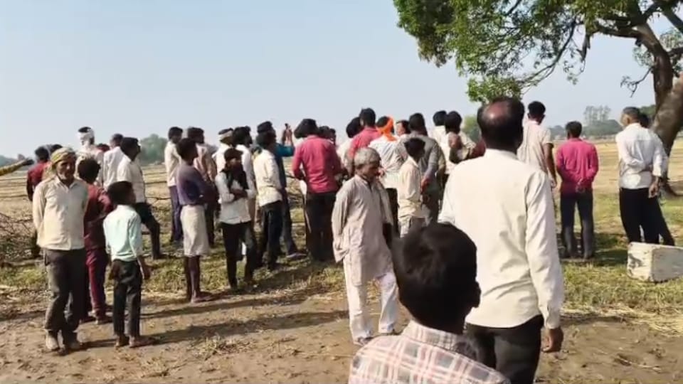 Bodies of couple found hanging from a tree in Shahjahanpur