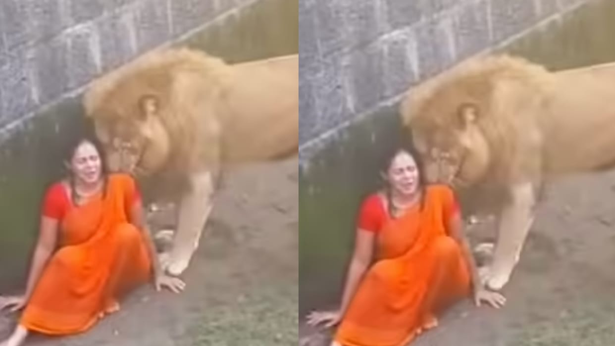 Viral Video Woman With Lion Enclosure Viral AI Video Know the Truth