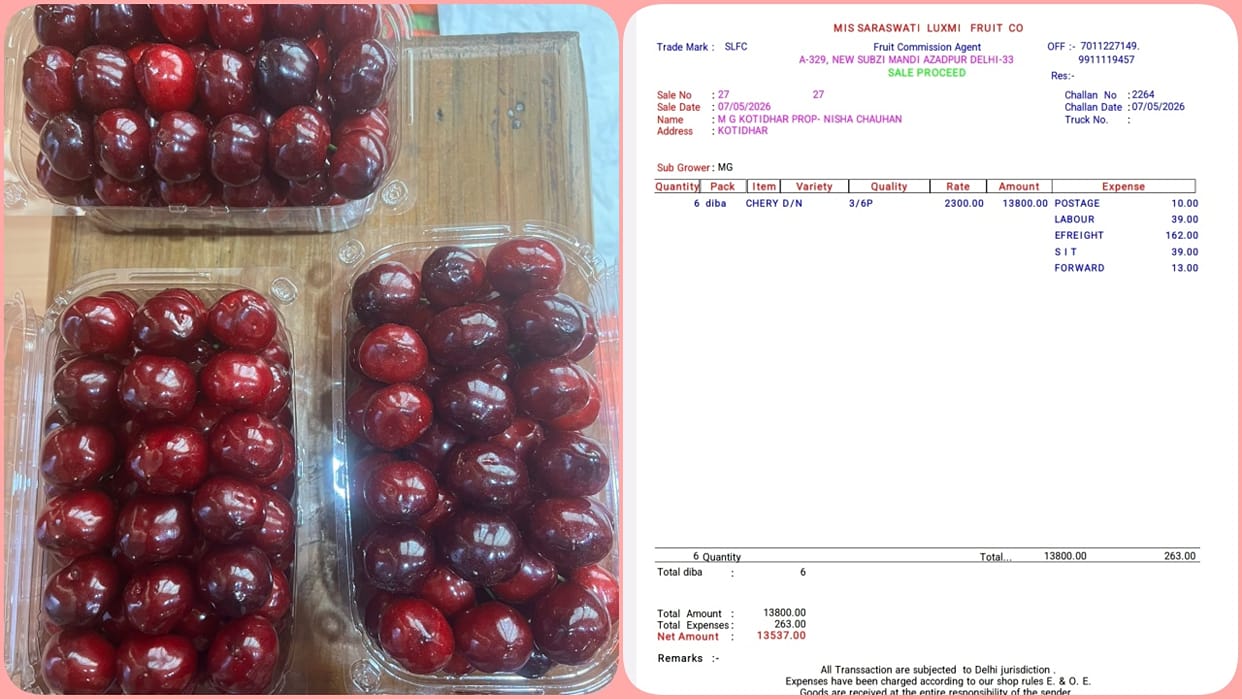 A box of Kotgarh cherries sold for ₹2300 in Delhi growers are fetching good prices due to a reduced harvest