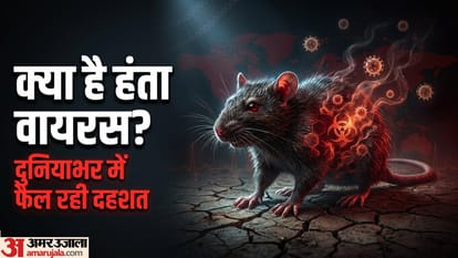 क्या है हंता वायरस? जिससे दहशत में है दुनिया