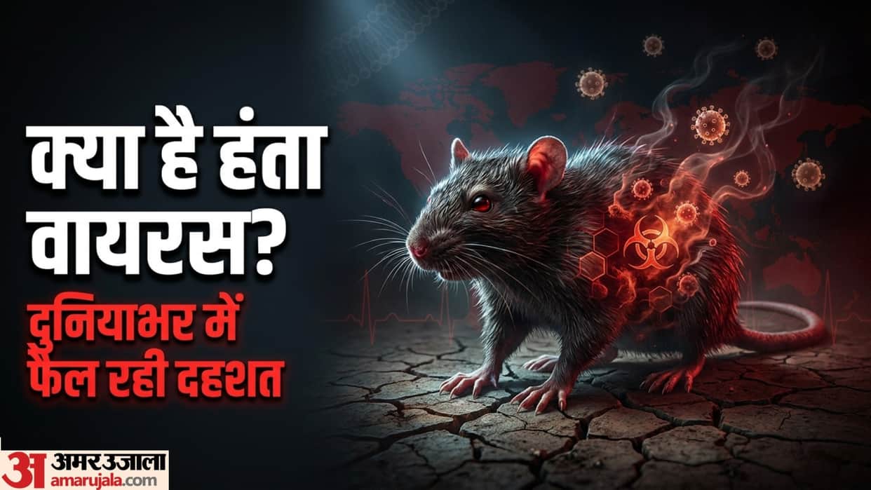 hanta virus explained symptoms causes and how it spreads in hindi what is the hanta virus