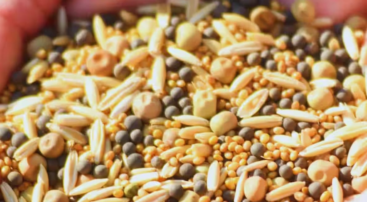 Kanpur No more  First Come FirstServed seeds will allocated via e lottery applications submitted by May 10