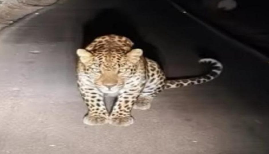 Three schools closed until further notice for the safety of children after tiger attack