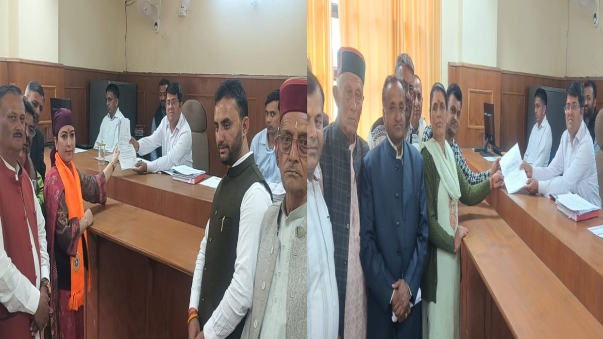 HP Panchayat Election: Political Battle Between Grandmother and Granddaughter in Zila Parishad Sirmour