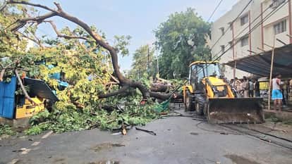 UP: 96 people died in the storm in UP, 18 in Bhadohi and 17 in Prayagraj.