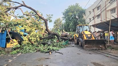 UP: 96 people died in the storm in UP, 18 in Bhadohi and 17 in Prayagraj.