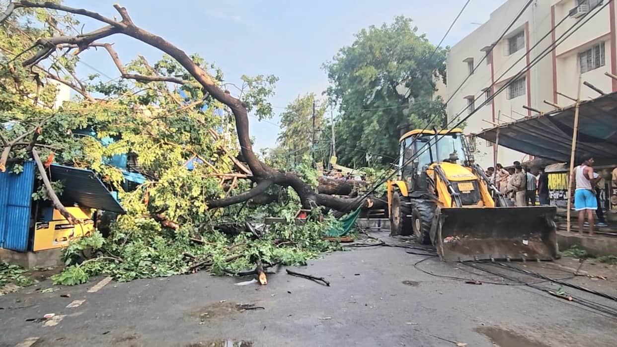 UP: 96 people died in the storm in UP, 18 in Bhadohi and 17 in Prayagraj.