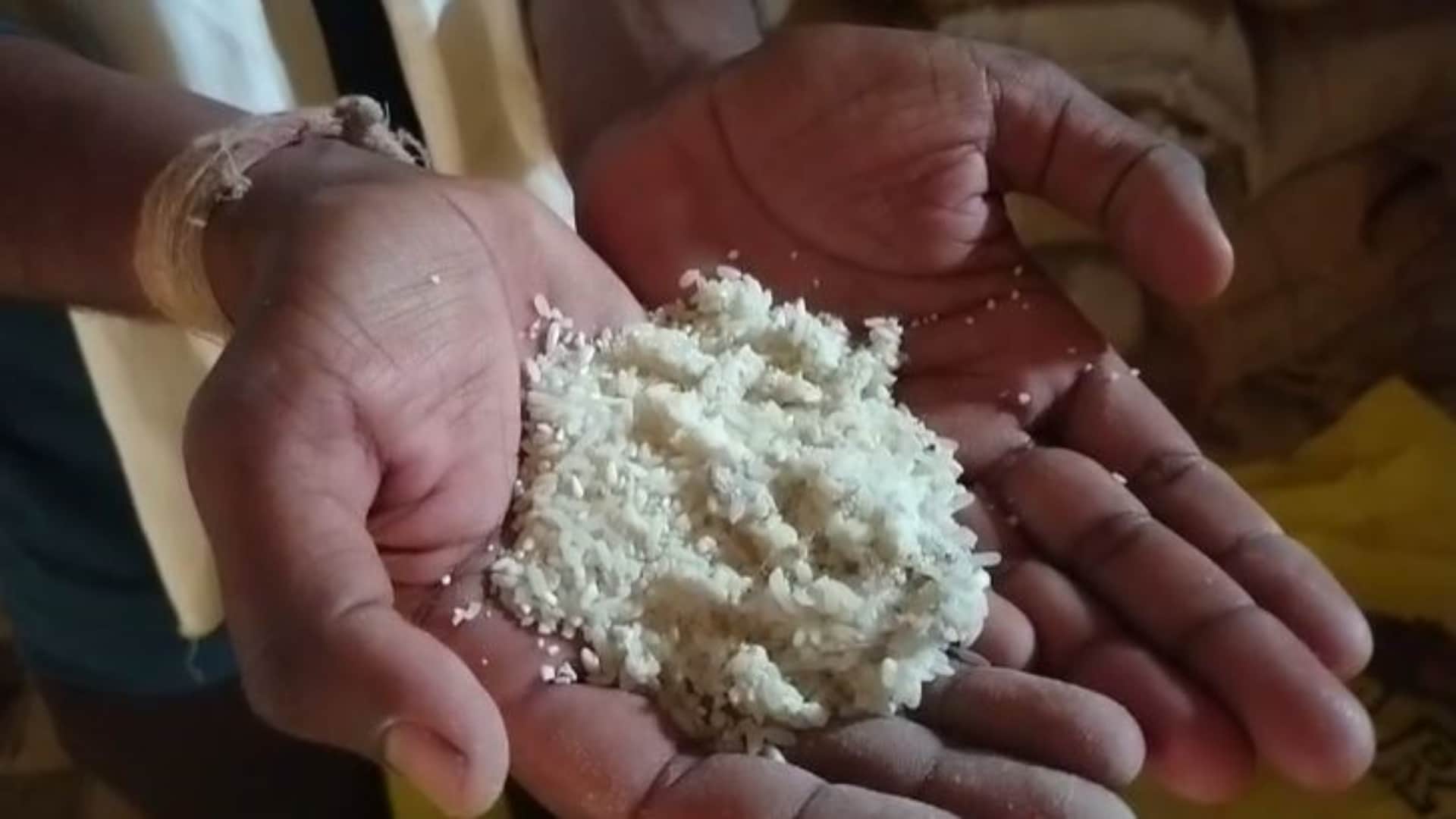 Burhanpur News: Villagers Protest Over Rotten Rice in Free Ration, Allege Foul Smell and Insect Infestation