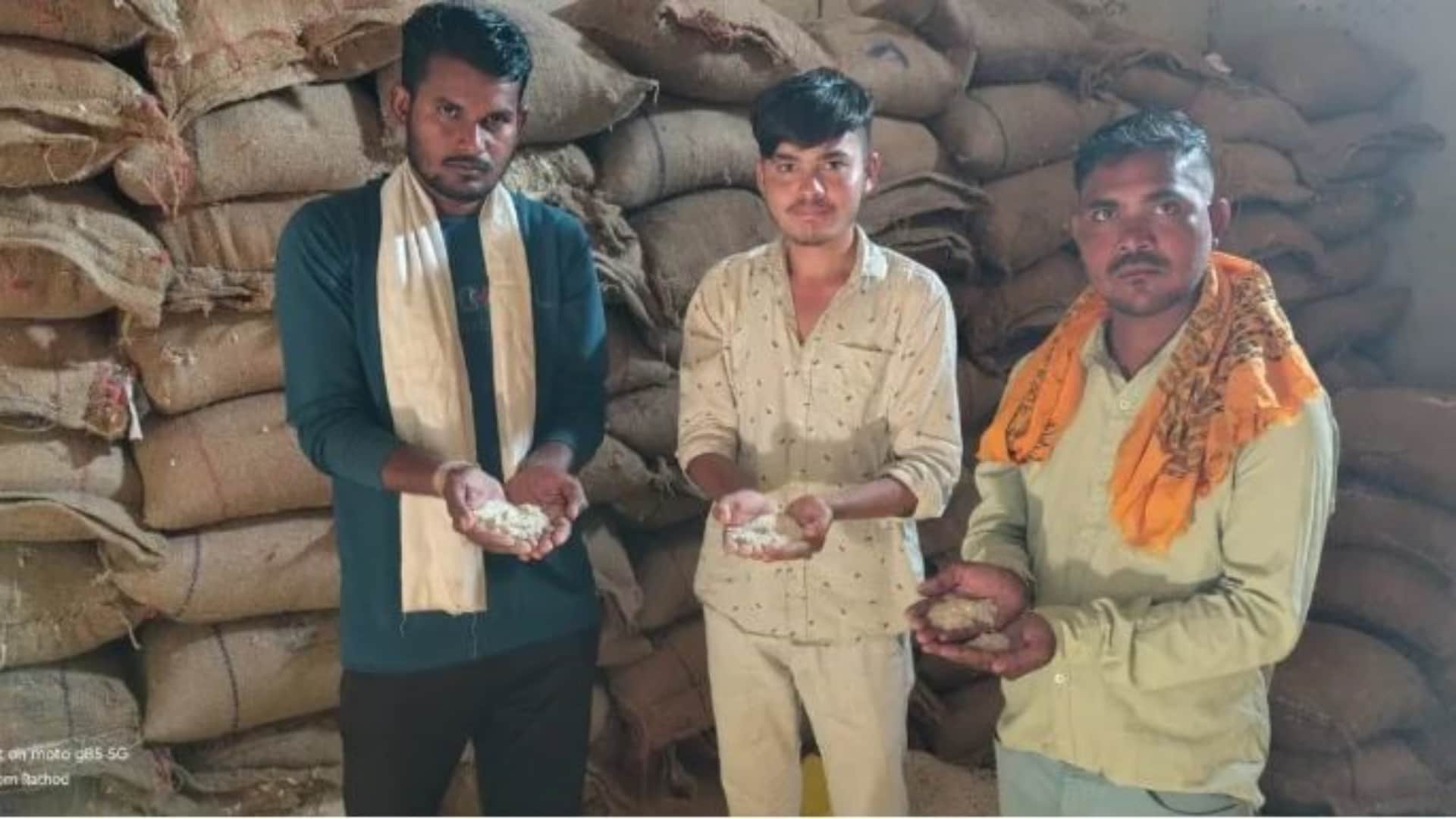 Burhanpur News: Villagers Protest Over Rotten Rice in Free Ration, Allege Foul Smell and Insect Infestation