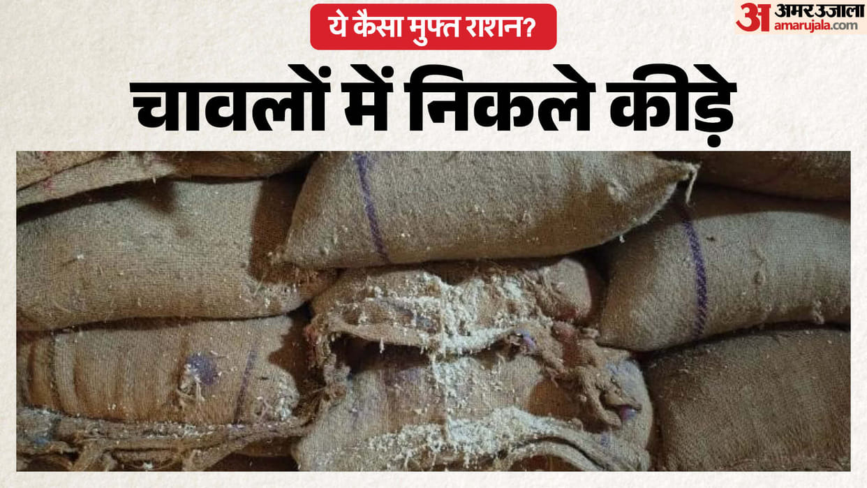 Burhanpur News: Villagers Protest Over Rotten Rice in Free Ration, Allege Foul Smell and Insect Infestation