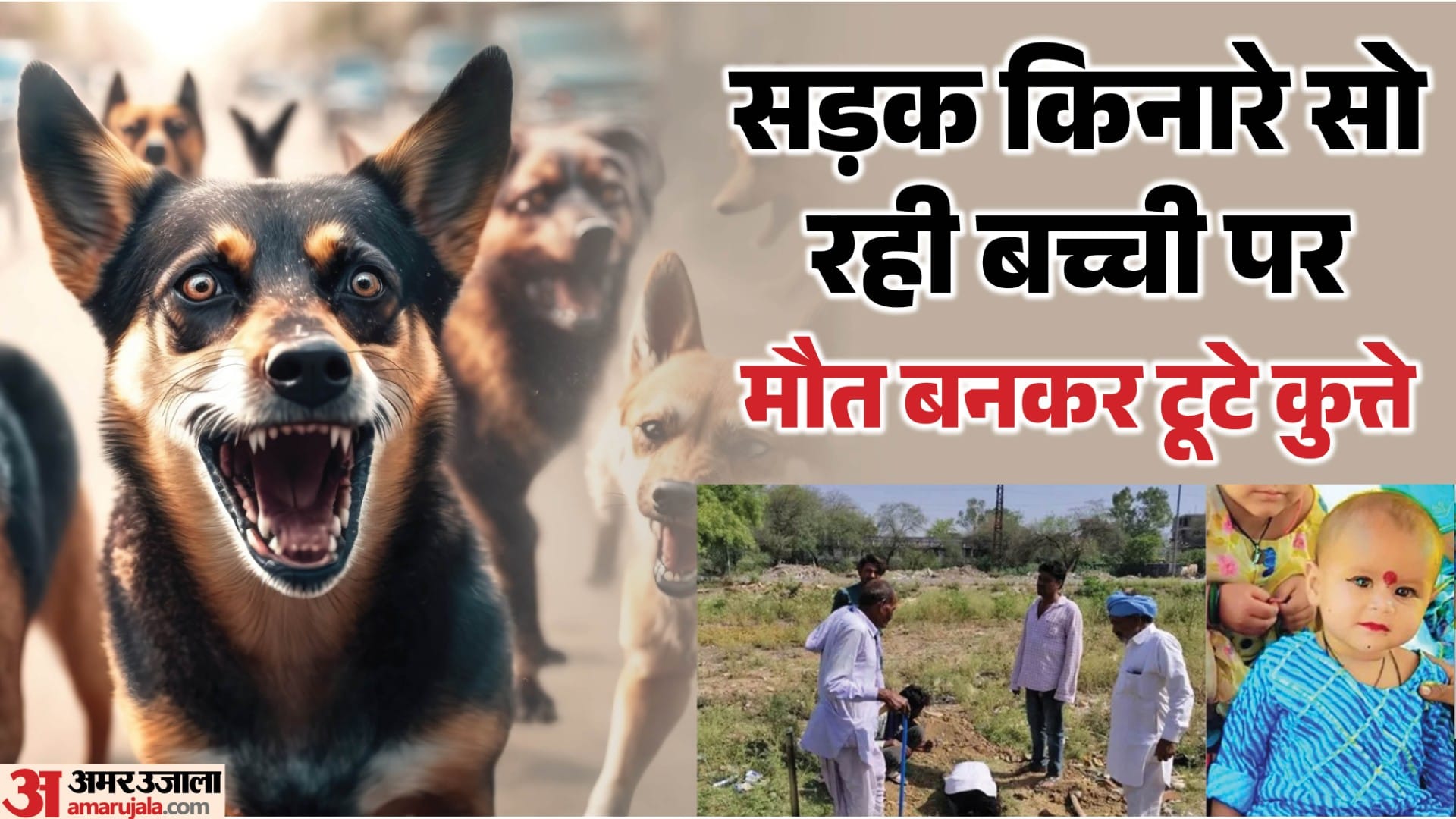 आवारा कुत्तों के हमले में मासूम की मौत