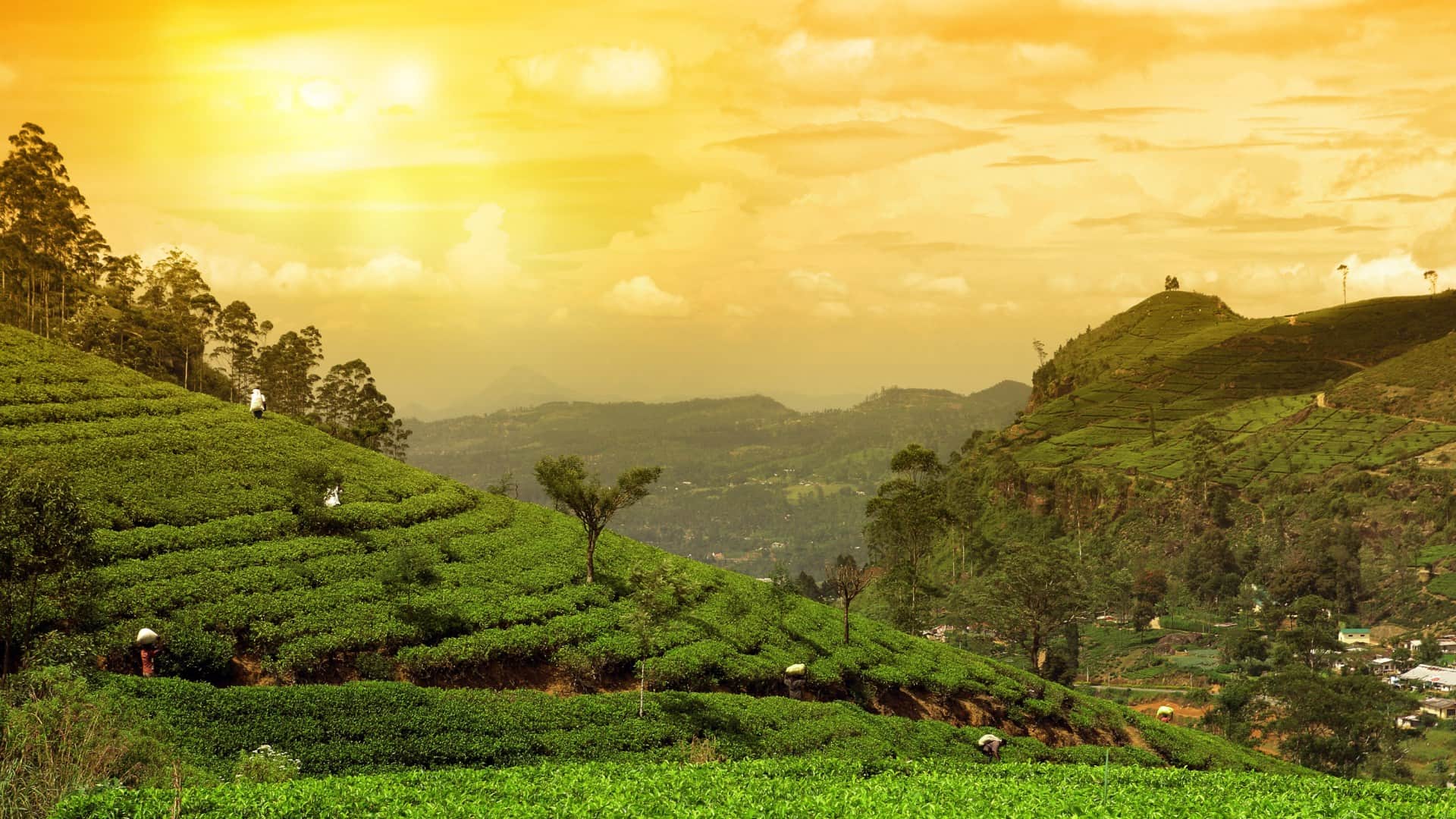 Top 10 biggest cities of west bengal name list in hindi from Kolkata to Darjeeling