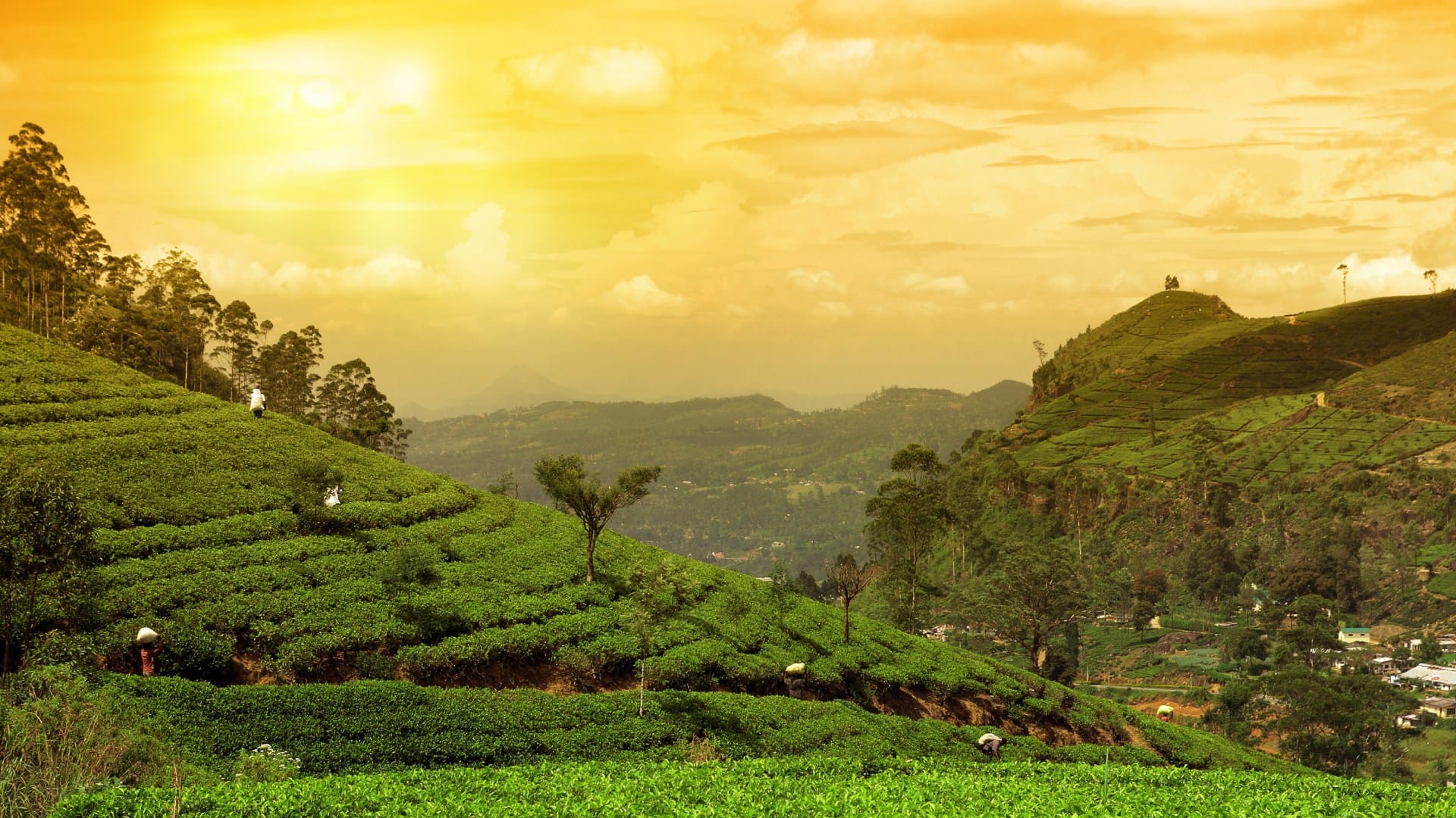 Top 10 biggest cities of west bengal name list in hindi from Kolkata to Darjeeling