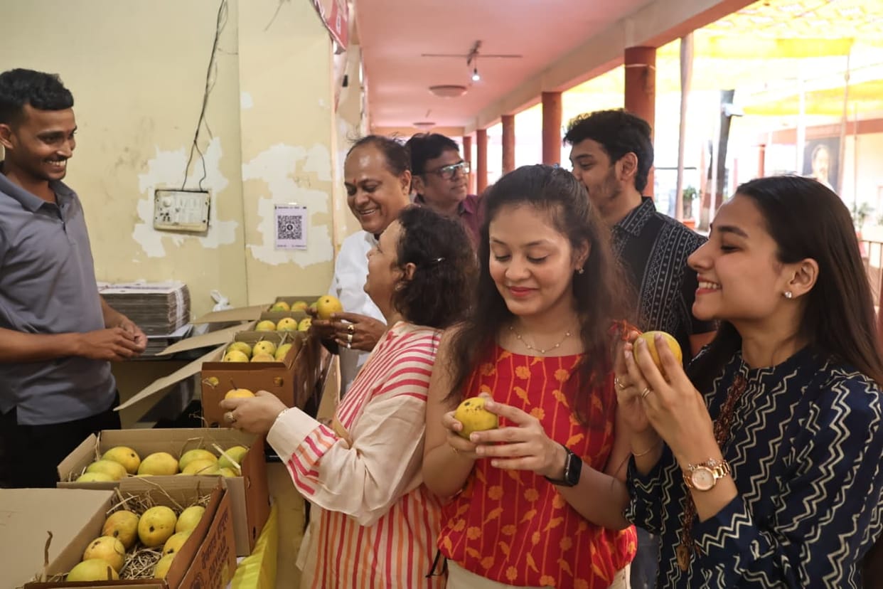 Indore: Climate change has affected the sweetness of mangoes, their colour and taste have faded.
