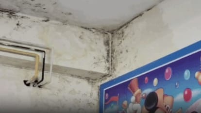 Kota: Politics Intensifies Over Maternal Deaths at Kota Medical College, From Blame Game to Probe Explained