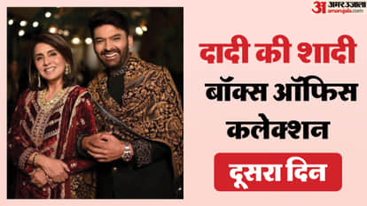 दादी की शादी बॉक्स ऑफिस