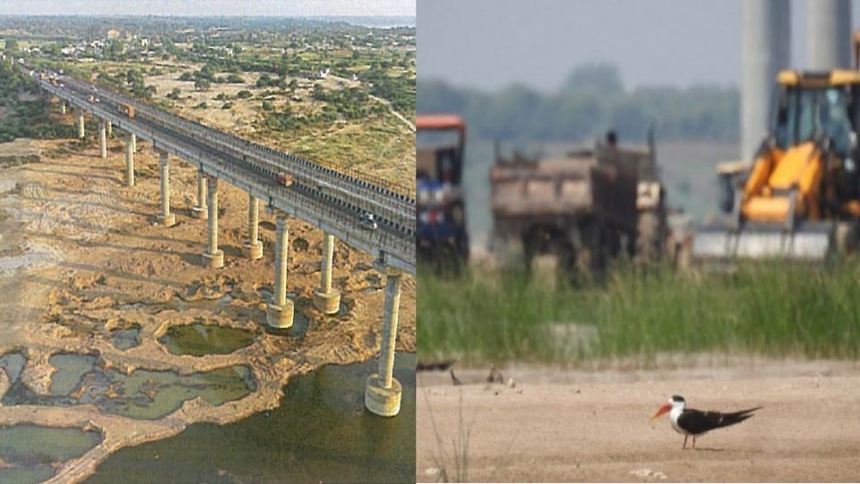 Illegal Mining in the Chambal Exposed During Inspection by the Central Empowered Committee