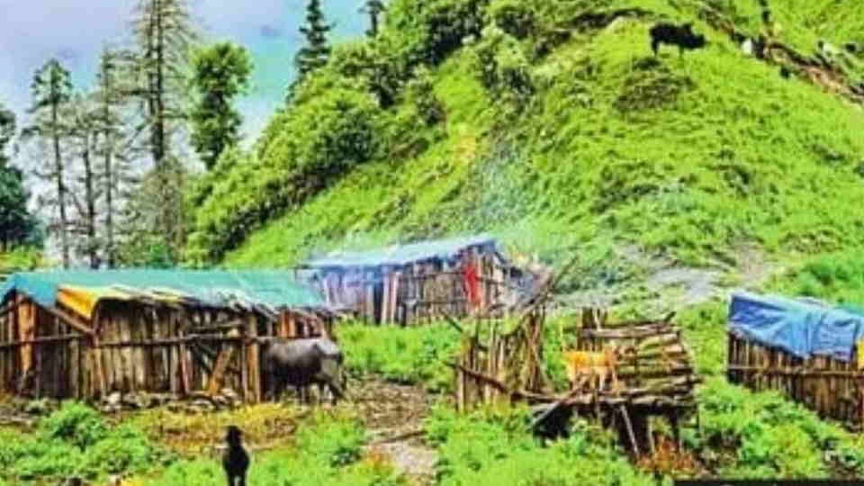 Uttarakhand: Mountain Huts Will Now Become Eco-Huts For Increase Tourism Proposal ready