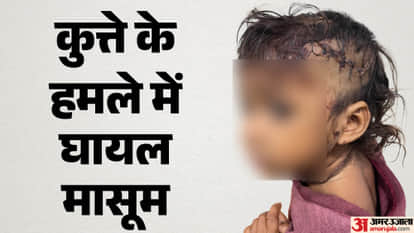 dog snatched 2-year-old girl sleeping at home mother bravery saved child's life Pali