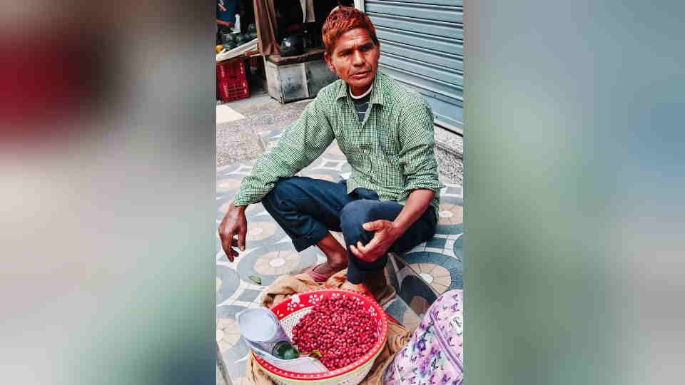 Uttarakhand Srinagar  News Taste of Kafal Reach Market from Mountains Earnings Rise