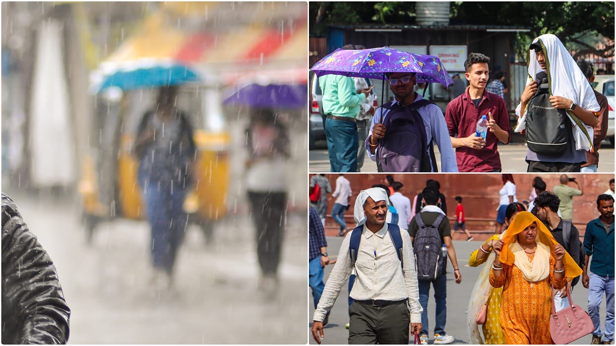bihar jharkhand rain storm deaths north india weather forecast updates