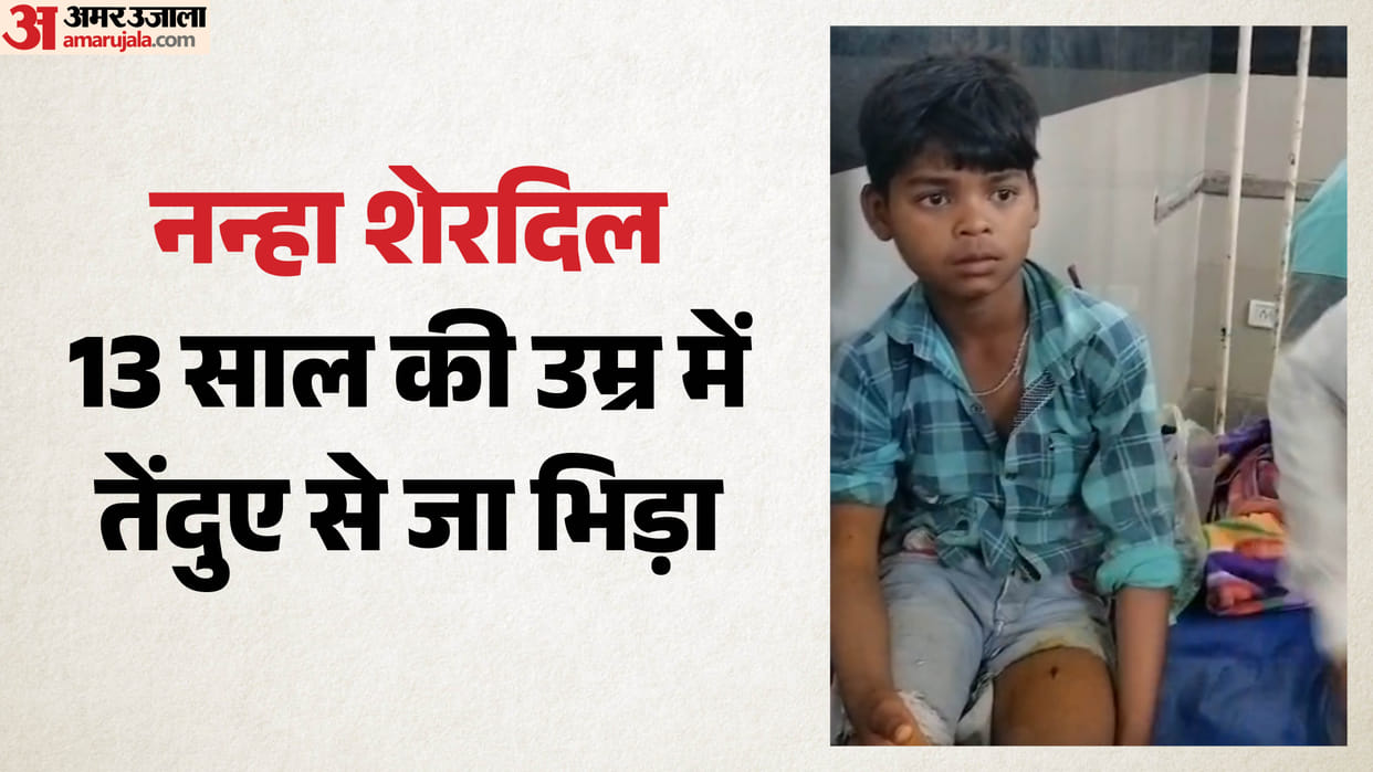 Narmadapuram News: 13-Year-Old Fights Off Leopard Satyam Grabs Wild Animal by Neck to Save His Life
