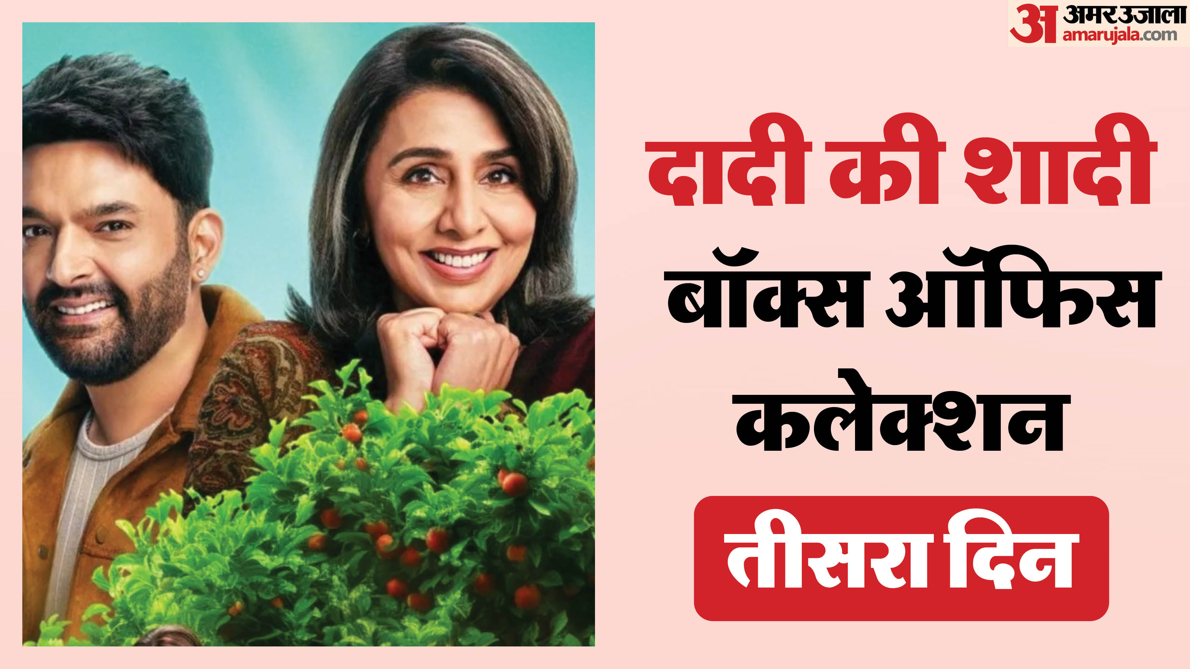 Daadi Ki Shaadi Box Office And Worldwide Collection Day 3 Earnings And Reports